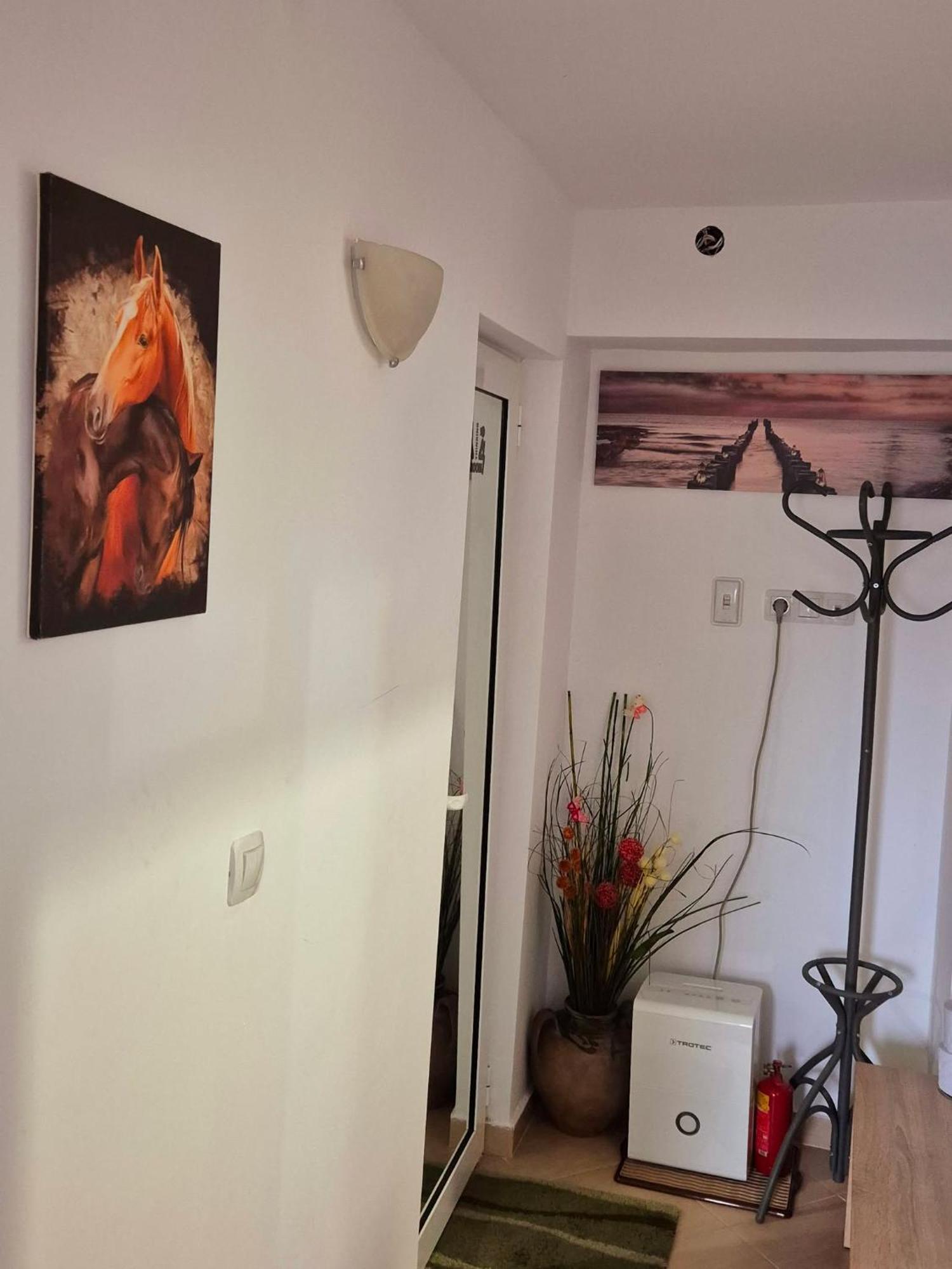 Apartment Shesti Uchastak Gabrovo Buitenkant foto